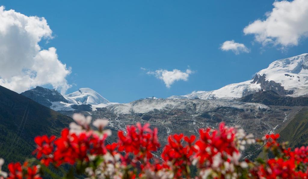 Artemis Easy Stay Self Check In-Out Saas-Fee Room photo